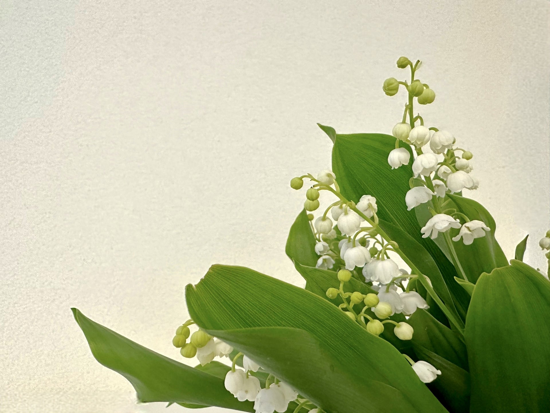 仕事が出来る人の行動パターン