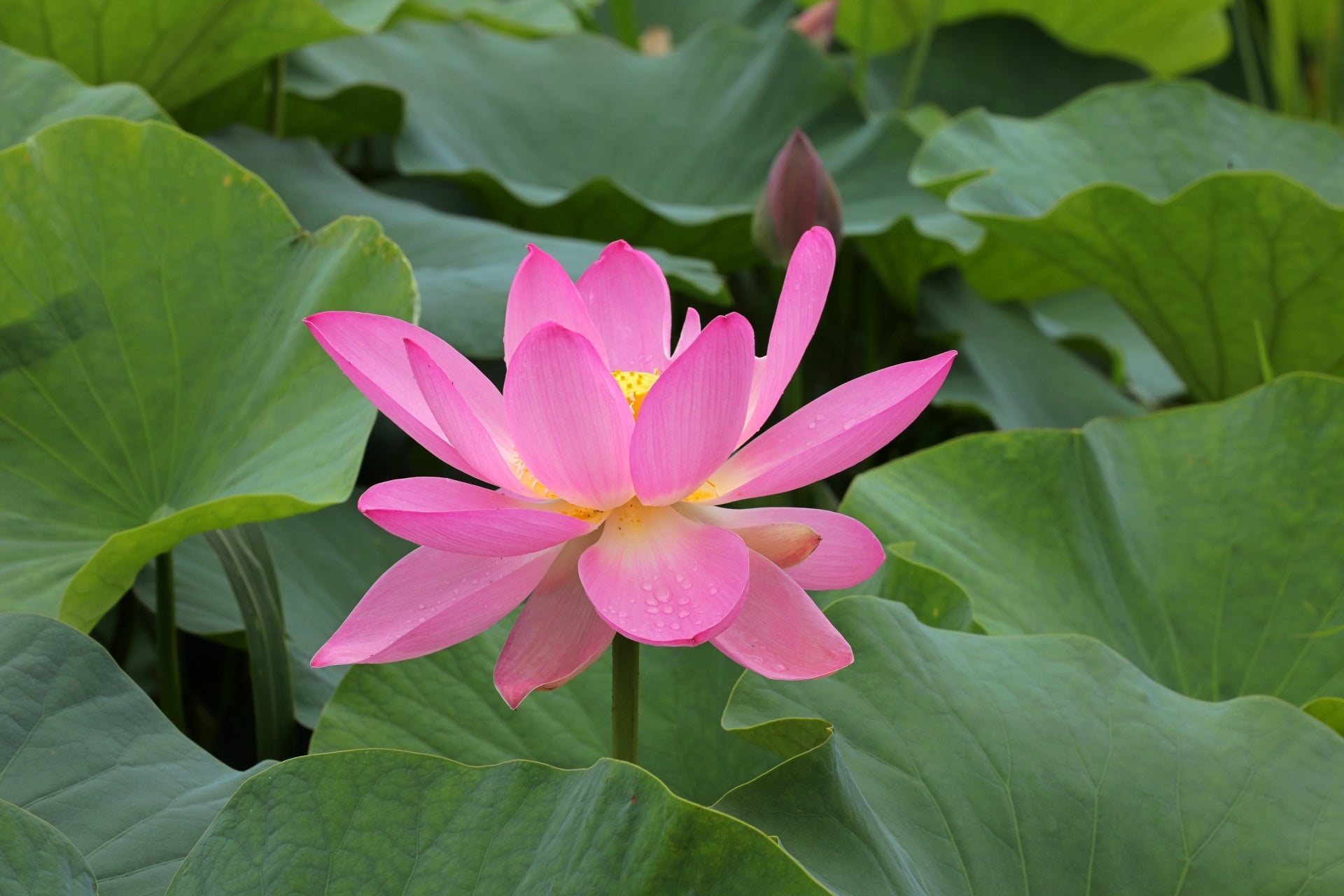 辛いときに・・・